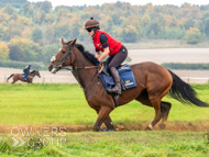 AK021025-54 - Believitanducan